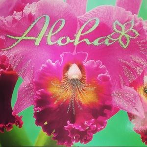 Meet your Posher, Ilaiyo